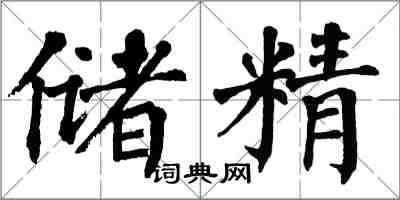 翁闿运储精楷书怎么写