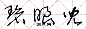 王冬龄碧眼儿草书怎么写