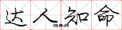 庞中华达人知命行书怎么写
