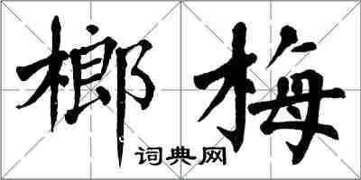 翁闿运榔梅楷书怎么写