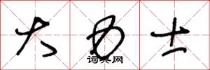 王冬龄大力士草书怎么写