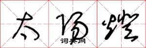 王冬龄太阳灯草书怎么写