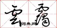 王冬龄云霭草书怎么写