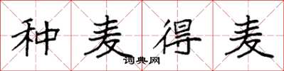 袁强种麦得麦楷书怎么写
