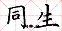 丁谦同生楷书怎么写