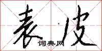 钱沛云表皮行书怎么写