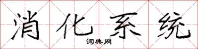 袁强消化系统楷书怎么写