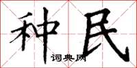 丁谦种民楷书怎么写