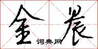 钱沛云金晨行书怎么写