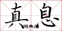 丁谦真息楷书怎么写