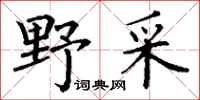 丁谦野采楷书怎么写