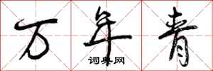 曾庆福万年青行书怎么写