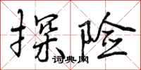 曾庆福探险行书怎么写