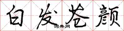 曾庆福白发苍颜行书怎么写