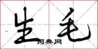 曾庆福生毛行书怎么写