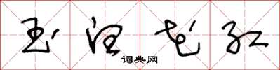 王冬龄玉白花红草书怎么写