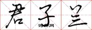 曾庆福君子兰行书怎么写