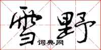 曾庆福雪野行书怎么写