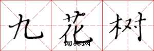 黄华生九花树楷书怎么写