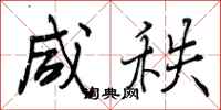 曾庆福咸秩行书怎么写