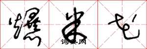 王冬龄爆米花草书怎么写