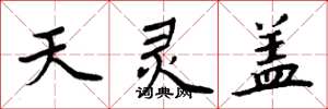 周炳元天灵盖楷书怎么写