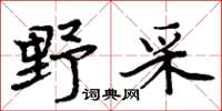 周炳元野采楷书怎么写