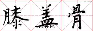 周炳元膝盖骨楷书怎么写