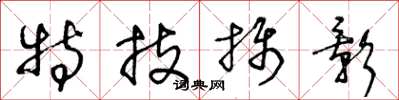 王冬龄特技摄影草书怎么写