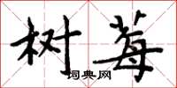 周炳元树莓楷书怎么写