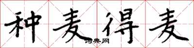 周炳元种麦得麦楷书怎么写
