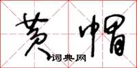 王冬龄黄帽草书怎么写