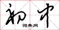 刘少英初中草书怎么写