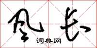 刘少英风长草书怎么写