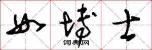 刘少英女博士草书怎么写