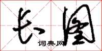 刘少英长图草书怎么写