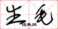 刘少英生毛草书怎么写