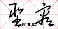 刘少英圣容草书怎么写