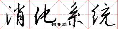 钱沛云消化系统行书怎么写