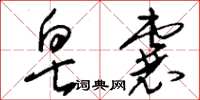 刘少英皂囊草书怎么写