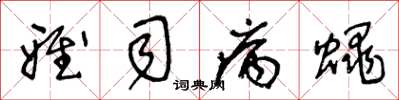 王冬龄雅司病蝇草书怎么写