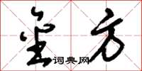 刘少英金方草书怎么写