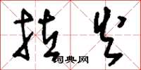 刘少英拉火草书怎么写