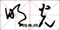 刘少英明光草书怎么写