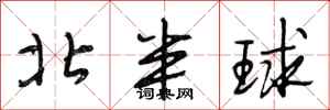段相林北半球行书怎么写