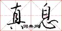 钱沛云真息行书怎么写
