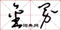 刘少英金界草书怎么写
