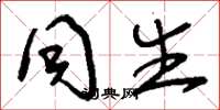 刘少英同生草书怎么写