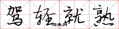 段相林驾轻就熟行书怎么写