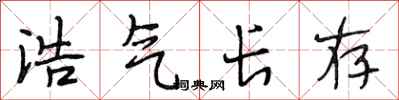 段相林浩气长存行书怎么写